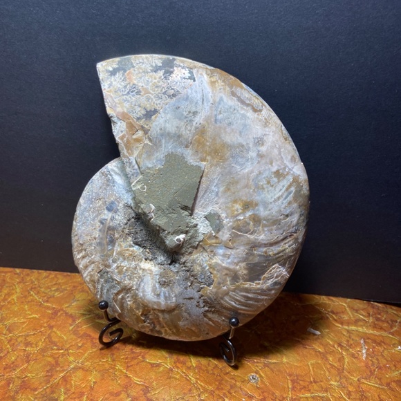 Ammonite fossil slice 577 g = 1.29 lbs 7"x6"  natural fossil healing - Picture 5 of 7